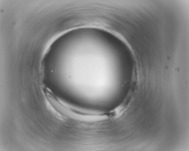 X0000052651532200507221828