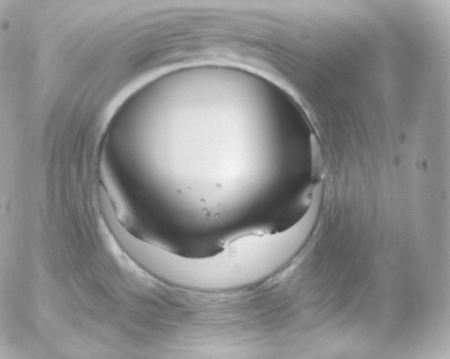 X0000052651534200507221829