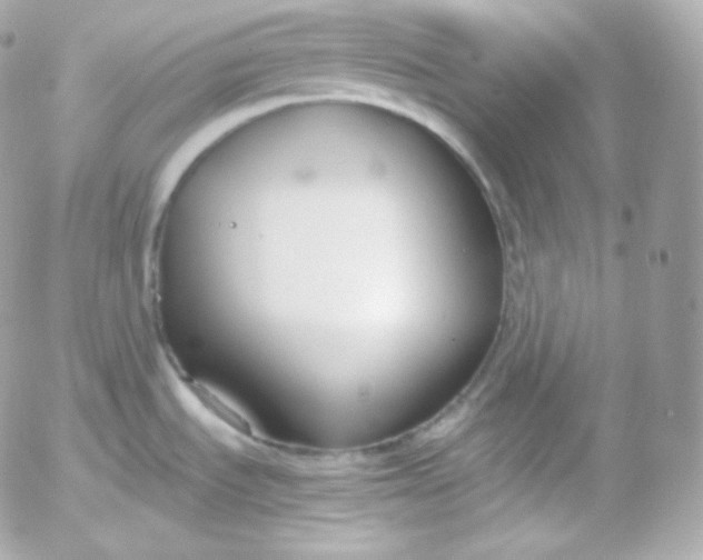 X0000052651535200507221829