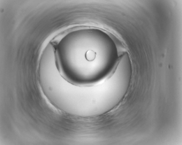 X0000052651536200507221829