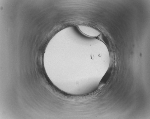 X0000052650021200507292342
