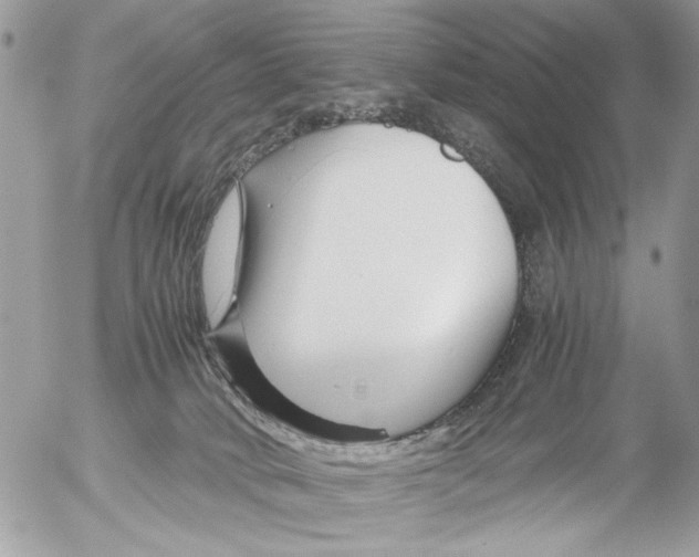 X0000052650034200507292342