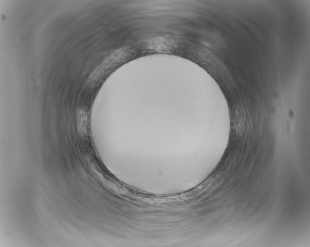 X0000052650036200507292342