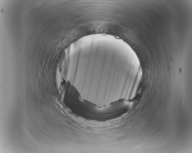 X0000052650039200507292342