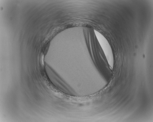 X0000052650041200507292342