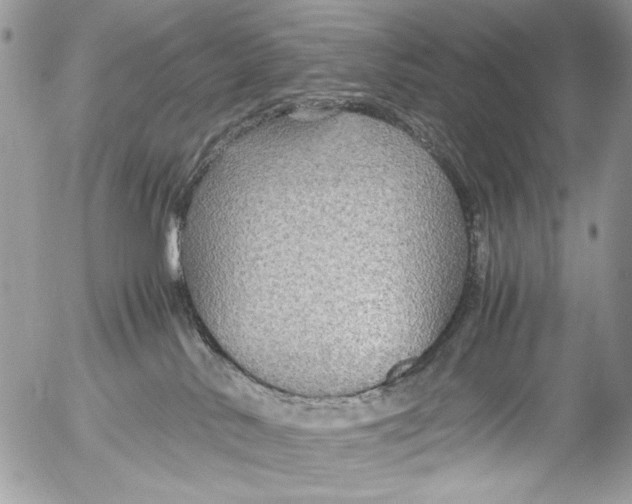 X0000052650042200507292342