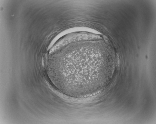X0000052650043200507292342