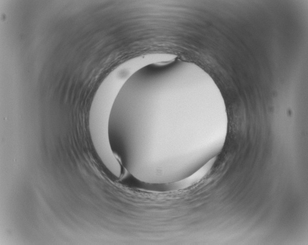 X0000052650044200507292342