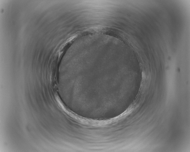 X0000052650048200507292342