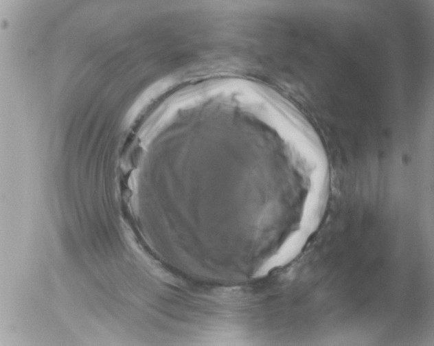 X0000052650054200507292341
