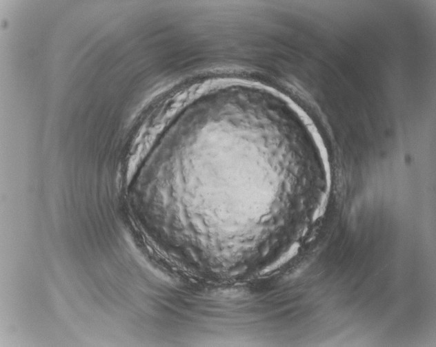 X0000052650063200507292341
