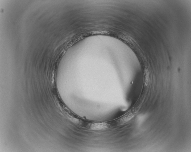 X0000052650077200507292341