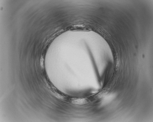 X0000052650081200507292341