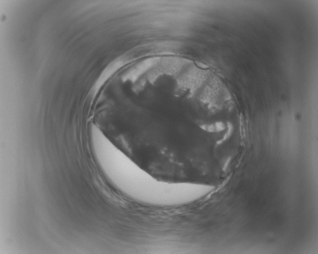 X0000052650099200507292341