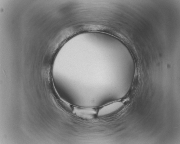 X0000052650111200507292341