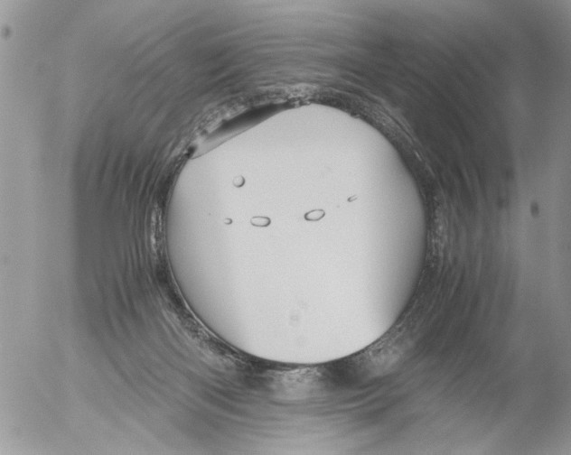 X0000052650122200507292341