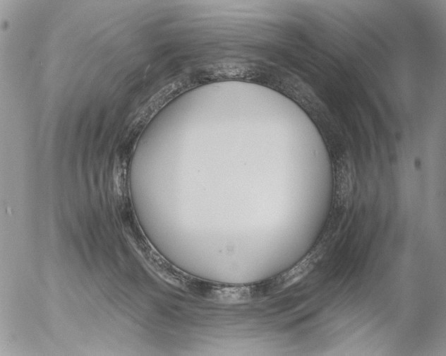 X0000052650126200507292340