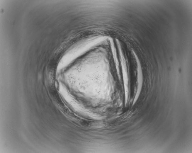 X0000052650131200507292340