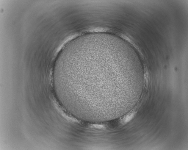 X0000052650159200507292340