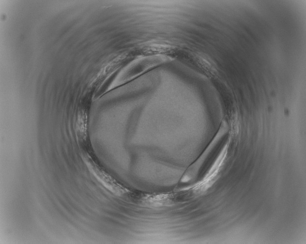 X0000052650186200507292340