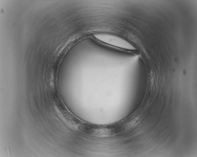 X0000052650212200507292339