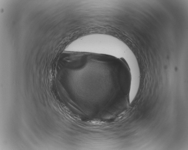 X0000052650223200507292339