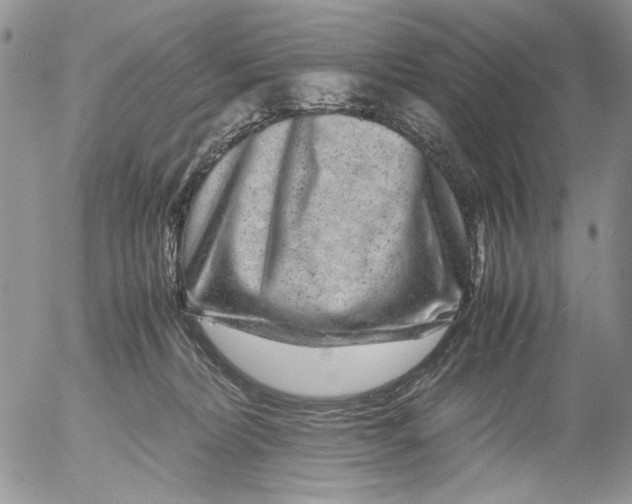 X0000052650228200507292339