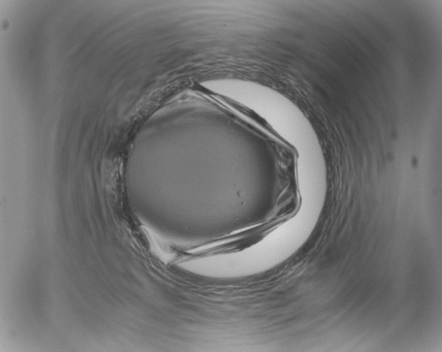 X0000052650229200507292339