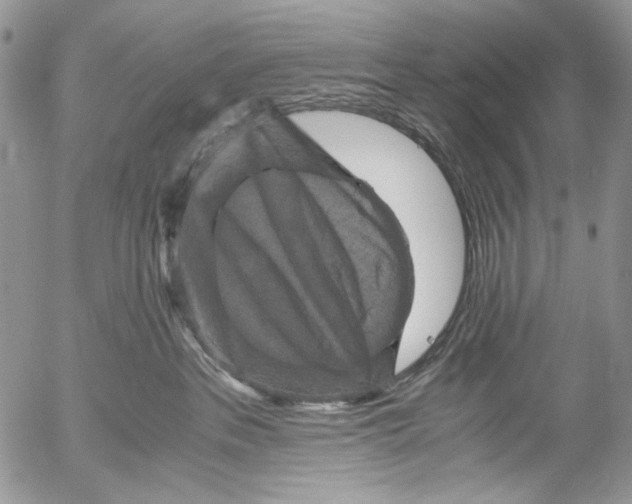 X0000052650237200507292339