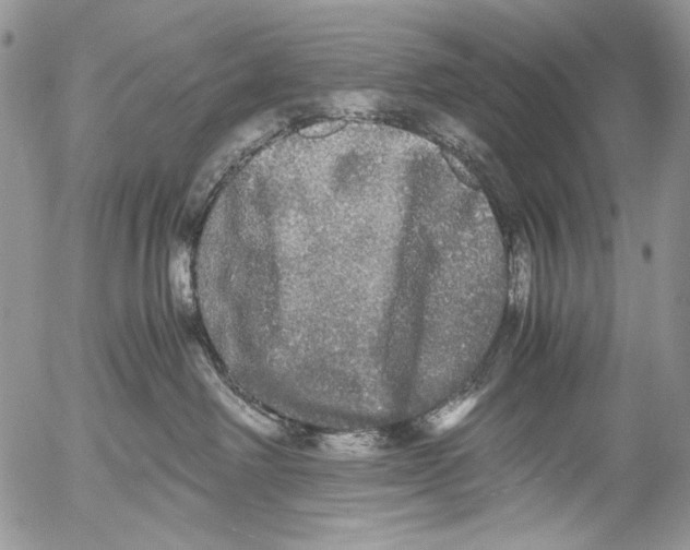 X0000052650238200507292339
