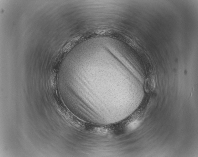 X0000052650272200507292338