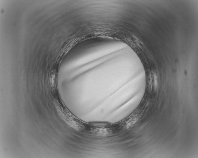 X0000052650276200507292338