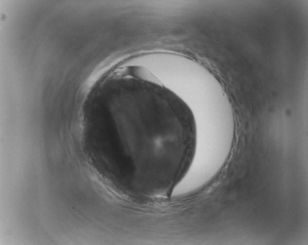 X0000052650295200507292338
