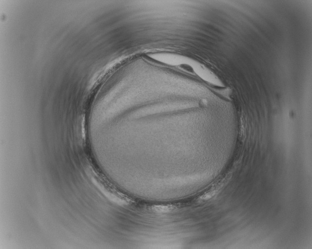 X0000052650302200507292338