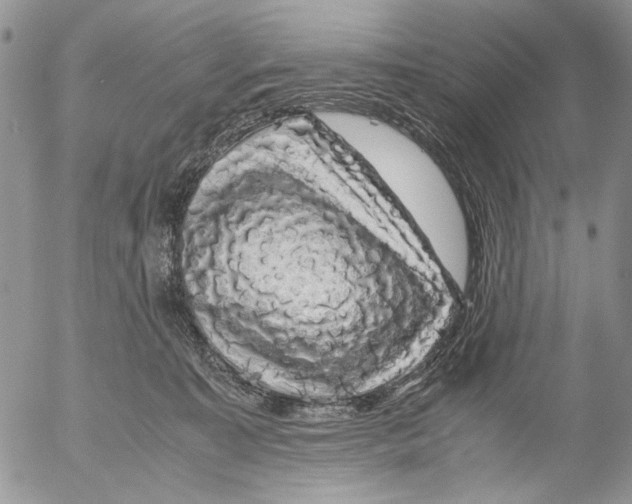 X0000052650323200507292337