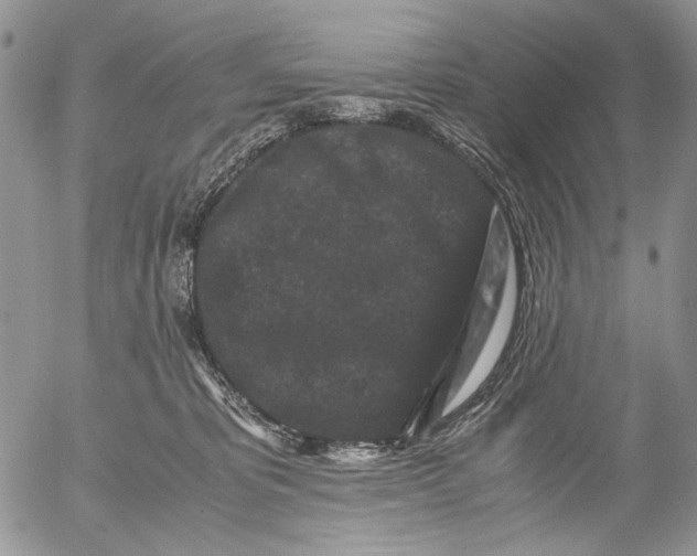 X0000052650325200507292337