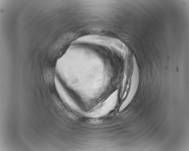 X0000052650335200507292337