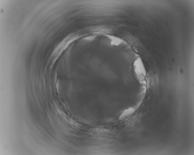 X0000052650339200507292336
