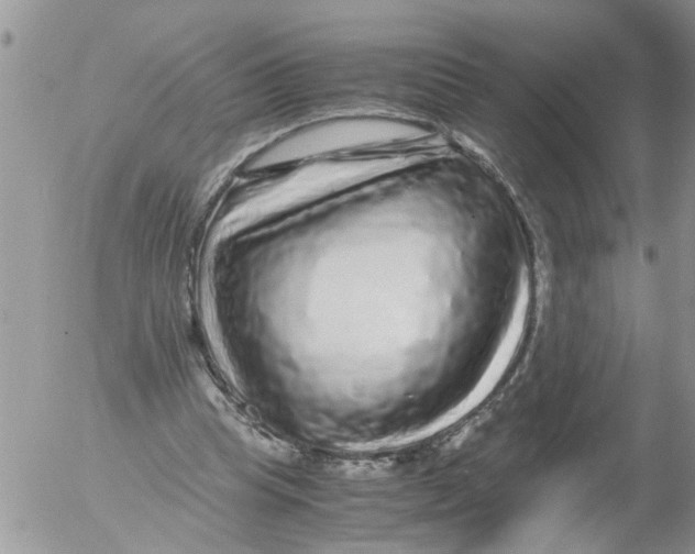 X0000052650345200507292336