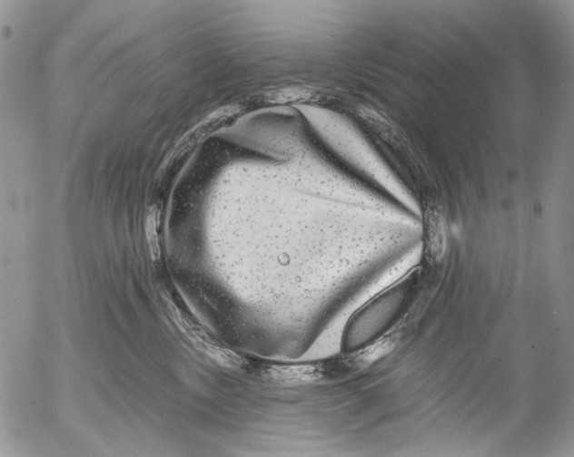 X0000052650378200507292337