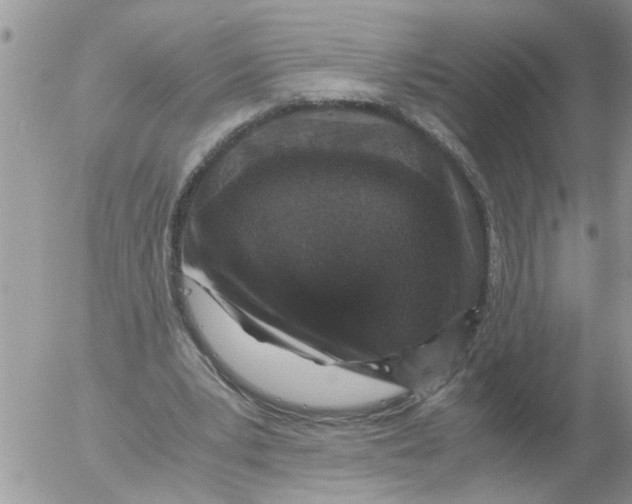 X0000052650391200507292336
