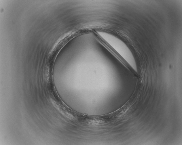 X0000052650400200507292336