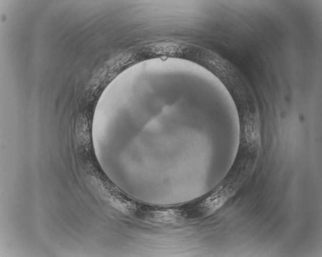 X0000052650411200507292336