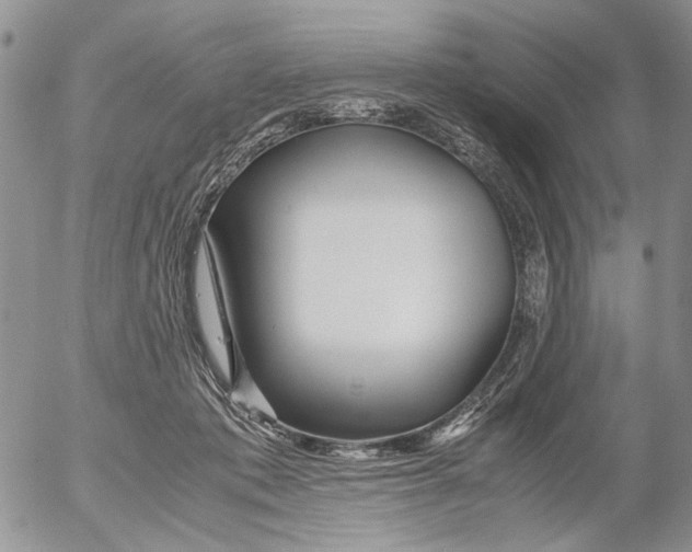 X0000052650413200507292336