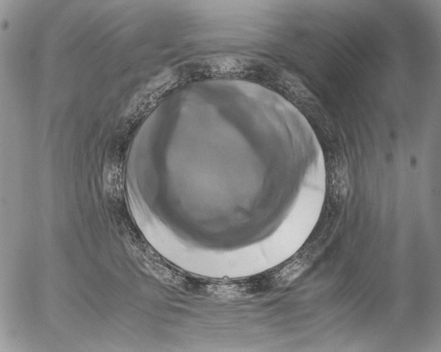 X0000052650419200507292336