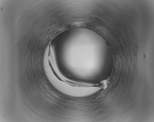 X0000052650420200507292336