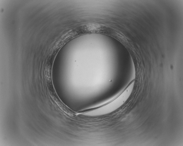 X0000052650421200507292336