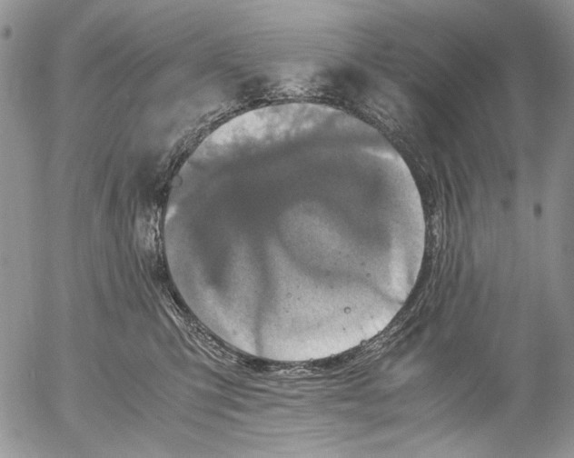 X0000052650423200507292336