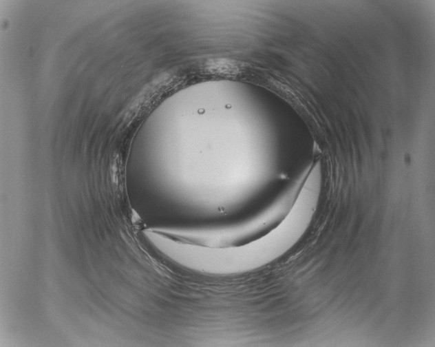 X0000052650424200507292336