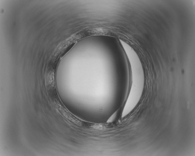 X0000052650425200507292336